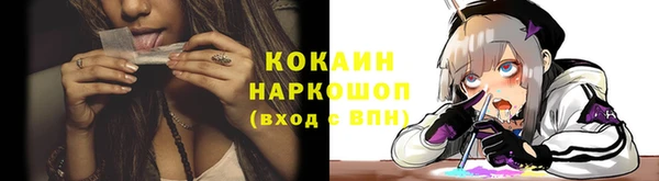 хмурый Осинники