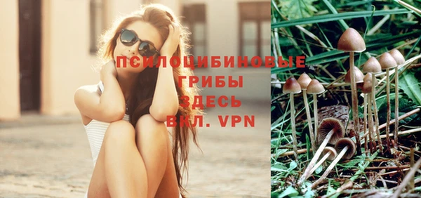 винт Армянск