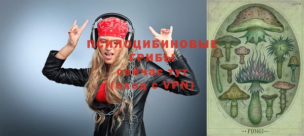 винт Армянск